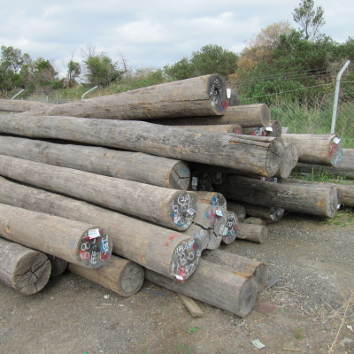 Timber Piles & Poles