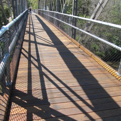 Timber for Bridges