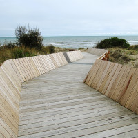 Timber for Boardwalks