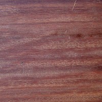 Red Ironbark