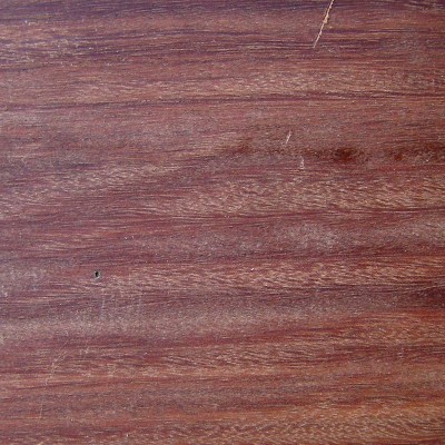 Red Ironbark