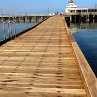 Timber for Jetties and Wharves